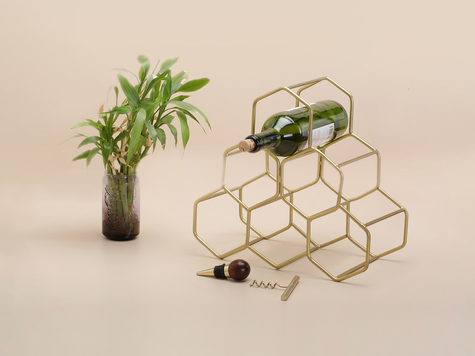 A wine bottle on a rack with a complementary plant displayed in a Mumbai product shoot